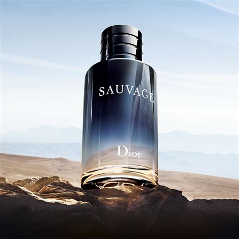 dior sauvage comprar|More.